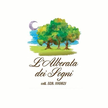 L'Alberata Dei Sogni Bed & Breakfast Frosinone Luaran gambar